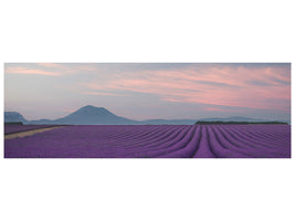 panoramic-canvas-print-lavender-field
