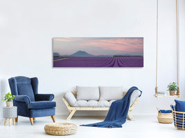 panoramic-canvas-print-lavender-field