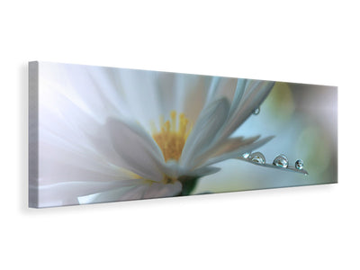 panoramic-canvas-print-light-touch