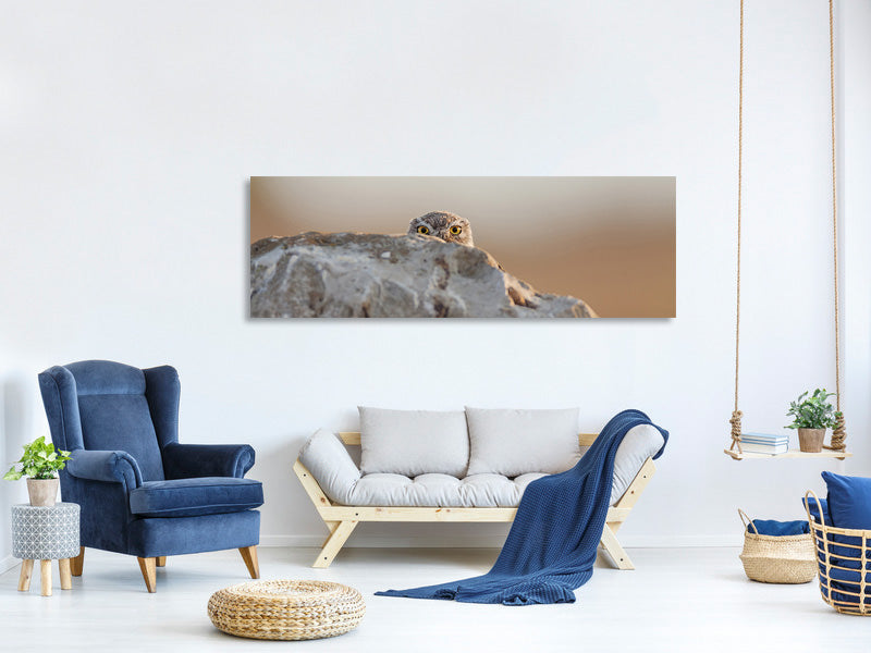 panoramic-canvas-print-little-owl