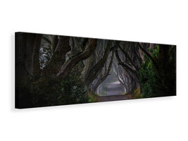 panoramic-canvas-print-magic-road