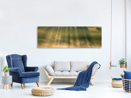 panoramic-canvas-print-mist-ii