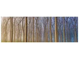 panoramic-canvas-print-morning-of-the-forest