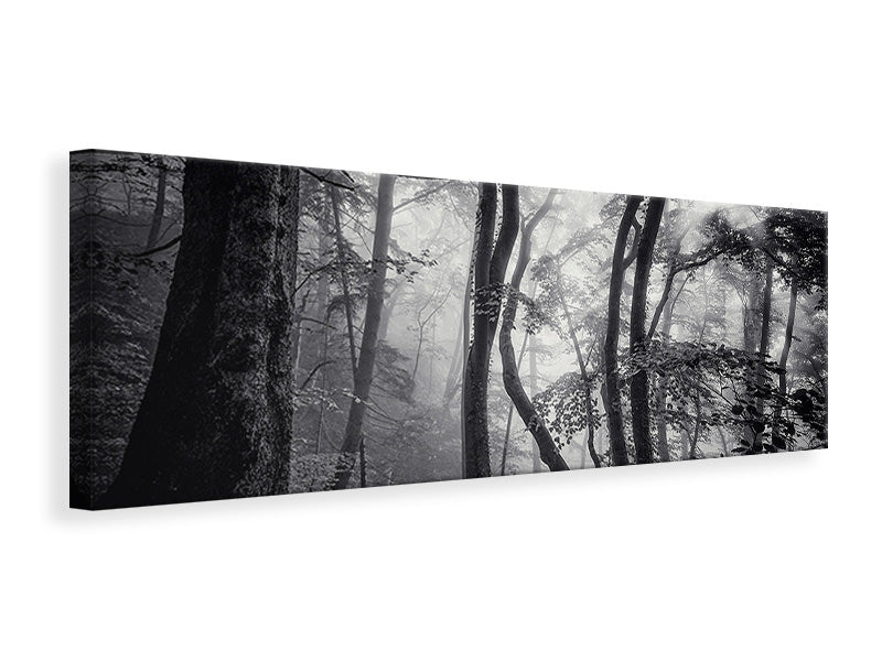 panoramic-canvas-print-mysterious-light