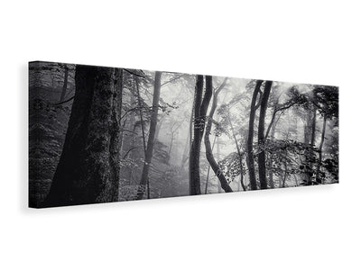 panoramic-canvas-print-mysterious-light