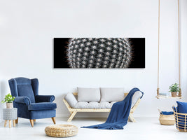 panoramic-canvas-print-notocactus-scopa-ii