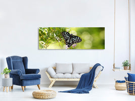 panoramic-canvas-print-papilio-butterfly-xxl