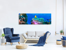 panoramic-canvas-print-sea-life
