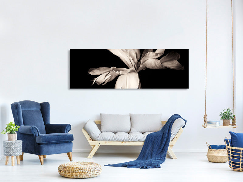 panoramic-canvas-print-simplicity