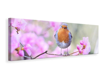 panoramic-canvas-print-spring-bird