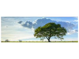 panoramic-canvas-print-spring-tree