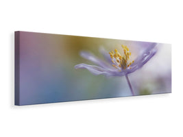 panoramic-canvas-print-springtime-watercolor