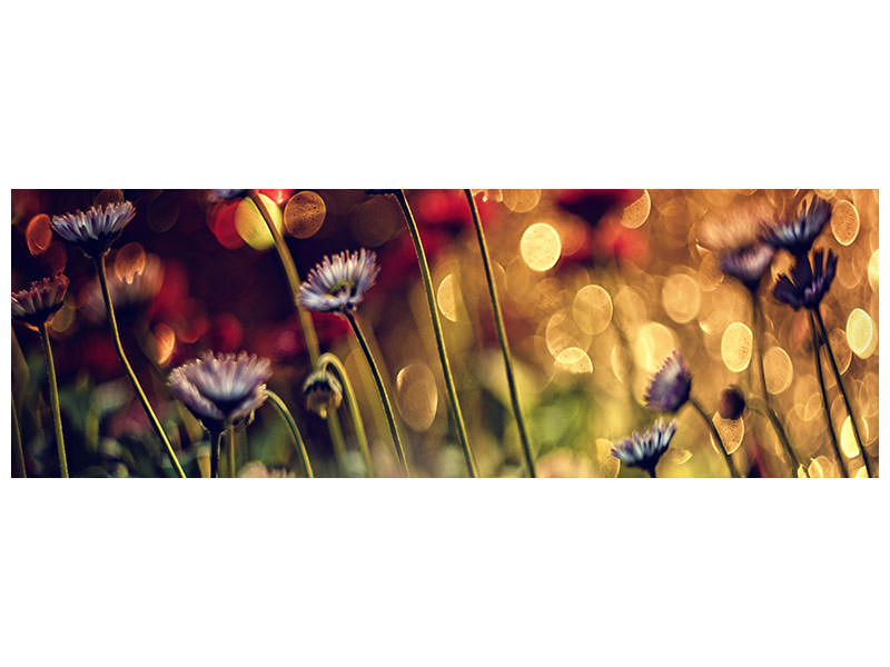 panoramic-canvas-print-summer-flowers