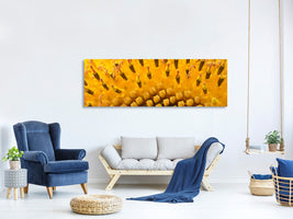 panoramic-canvas-print-the-buds-of-the-sunflower-in-xxl