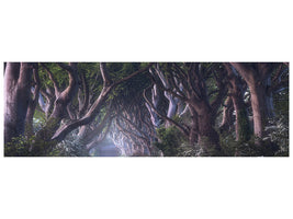 panoramic-canvas-print-the-dark-hedges