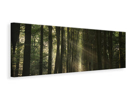 panoramic-canvas-print-the-essential