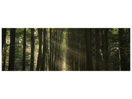 panoramic-canvas-print-the-essential