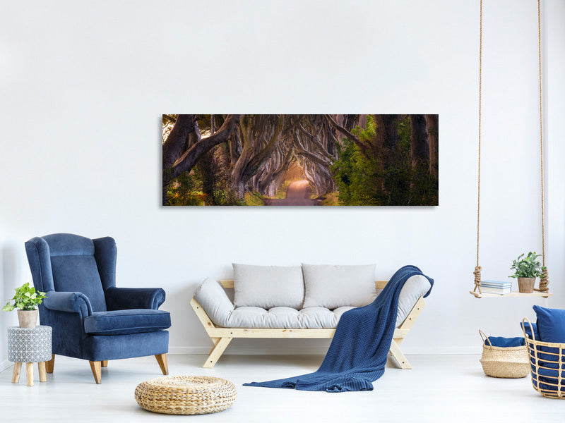 panoramic-canvas-print-the-glowing-hedges