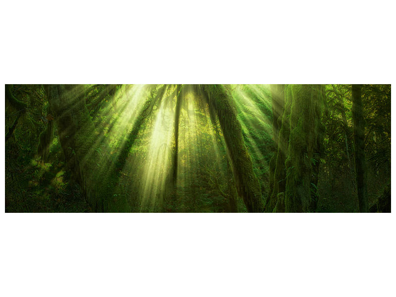 panoramic-canvas-print-the-miracle