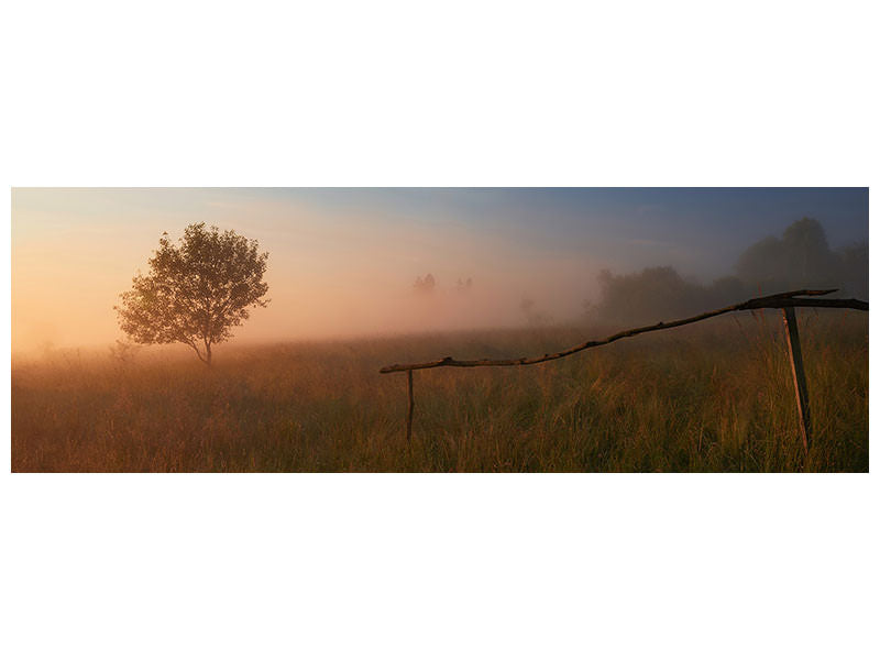 panoramic-canvas-print-the-summer-field