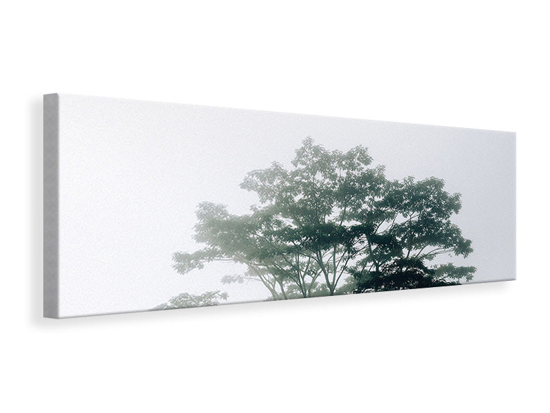 panoramic-canvas-print-timor-leste