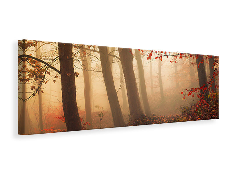 panoramic-canvas-print-towards-the-light