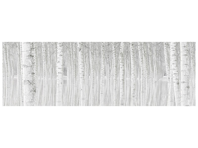 panoramic-canvas-print-trees