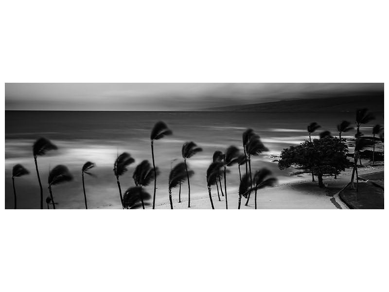 panoramic-canvas-print-tropical-storm