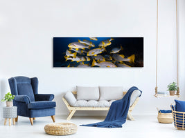 panoramic-canvas-print-underwater-photography-indian-ocean-sweetlips