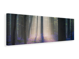 panoramic-canvas-print-velvet-light