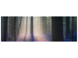 panoramic-canvas-print-velvet-light