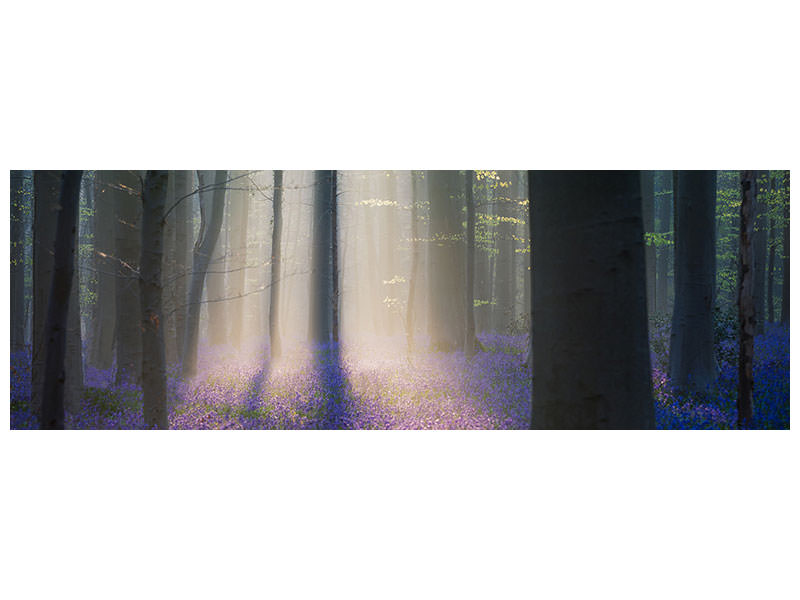 panoramic-canvas-print-velvet-light