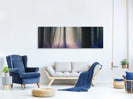 panoramic-canvas-print-velvet-light