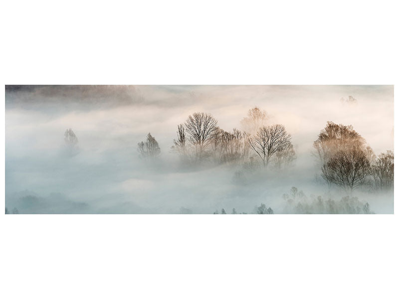 panoramic-canvas-print-winter-fog