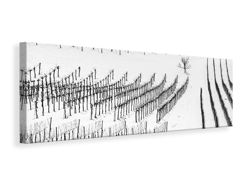 panoramic-canvas-print-winter-lines