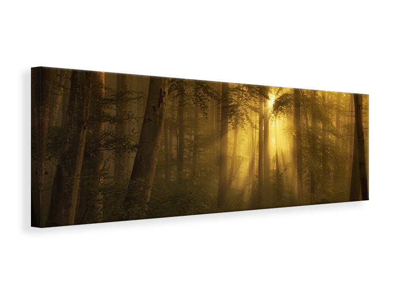 panoramic-canvas-print-yellow-the-bigger-picture