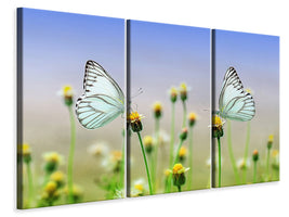 3-piece-canvas-print-2-butterflies