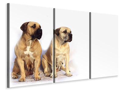 3-piece-canvas-print-2-mastiffs