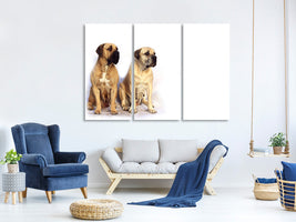 3-piece-canvas-print-2-mastiffs