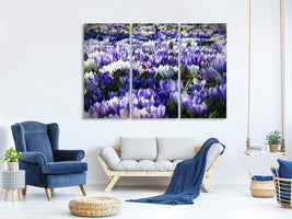 3-piece-canvas-print-a-field-full-of-crocuses