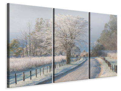 3-piece-canvas-print-a-frosty-morning