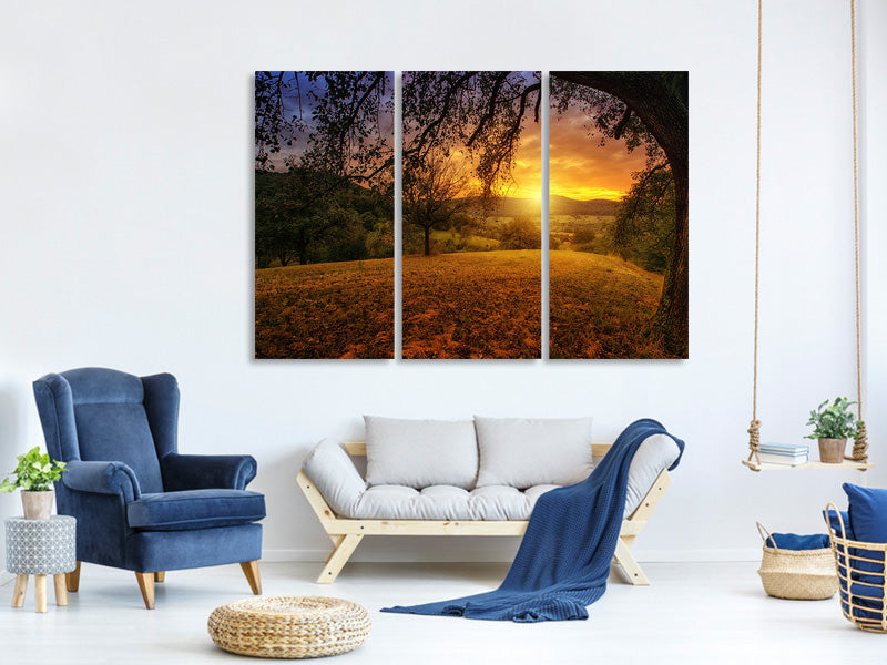 3-piece-canvas-print-a-landscape-in-the-sunset