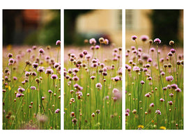 3-piece-canvas-print-a-meadow-full-of-flowers