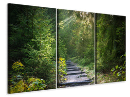 3-piece-canvas-print-a-path-between-firs