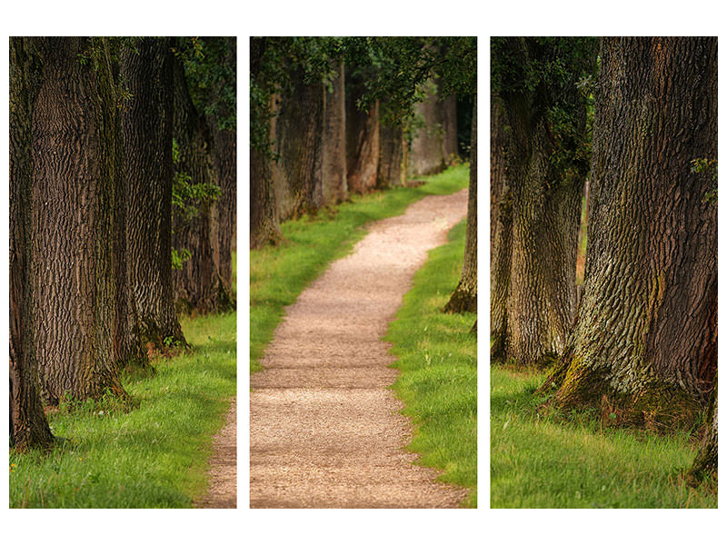 3-piece-canvas-print-a-path-in-the-forest