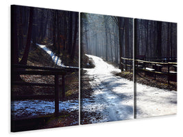 3-piece-canvas-print-a-path-in-the-snow