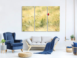 3-piece-canvas-print-a-poppy