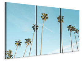 3-piece-canvas-print-a-sky-full-of-palm-trees