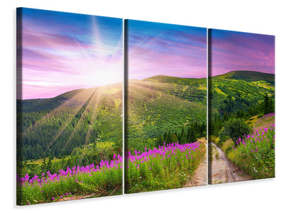 3-piece-canvas-print-a-summer-landscape-at-sunrise