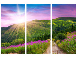 3-piece-canvas-print-a-summer-landscape-at-sunrise